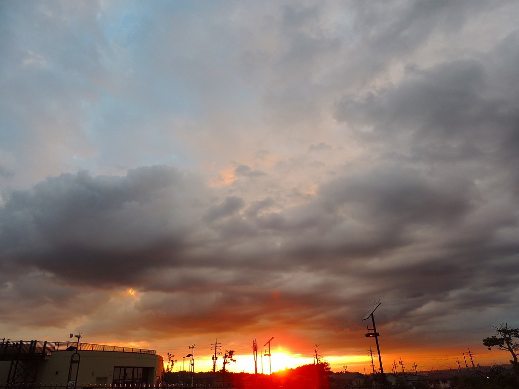 e0372207_21123891.jpg