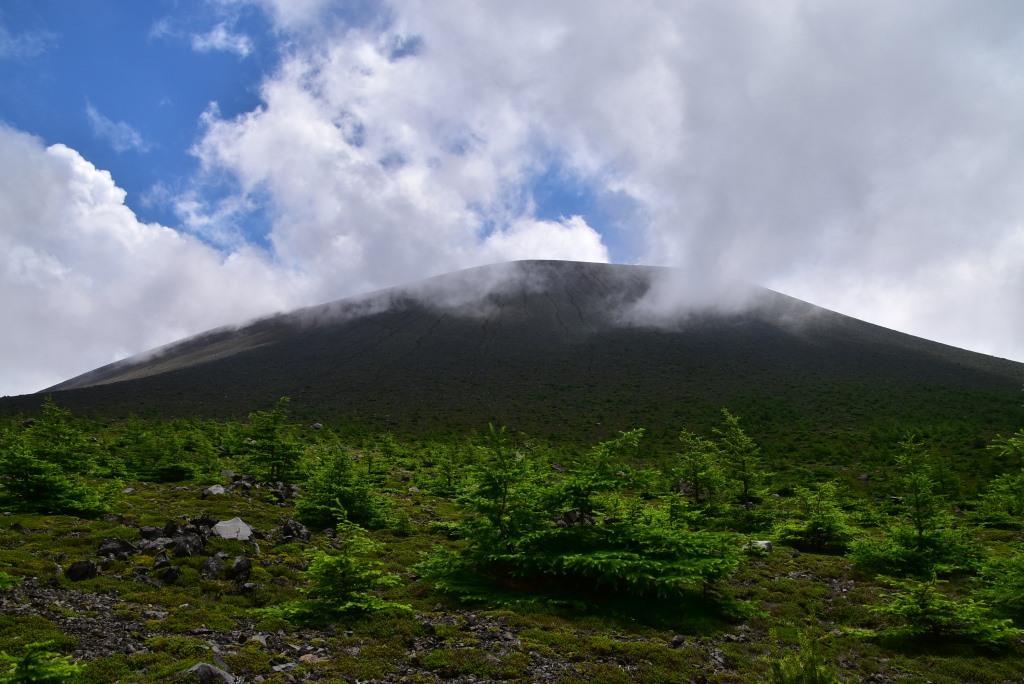 2017/7/31 黒斑山_a0340812_14373376.jpg