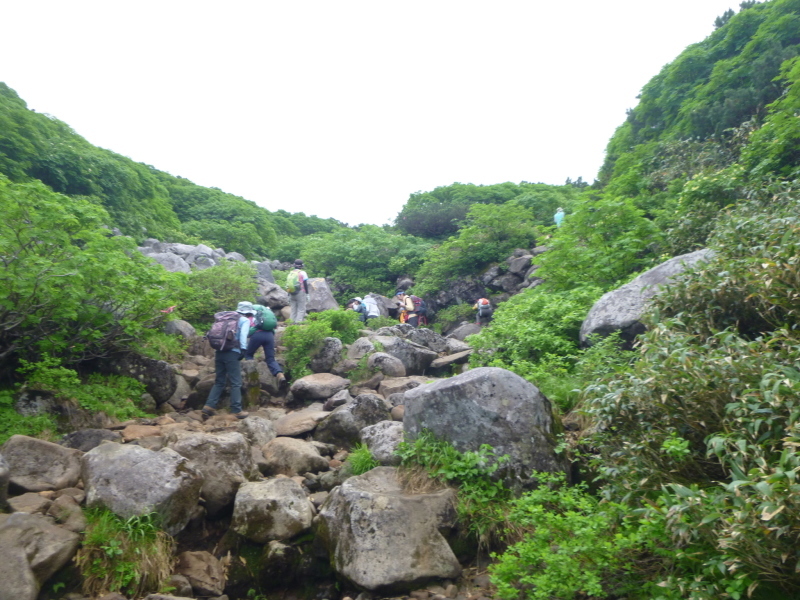 花の百名山　富良野岳 (1,912.1M)  　山頂を目指す　NO 1_d0170615_13253353.jpg