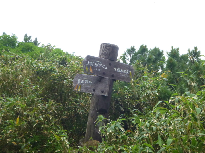 花の百名山　富良野岳 (1,912.1M)  　山頂を目指す　NO 1_d0170615_13255726.jpg