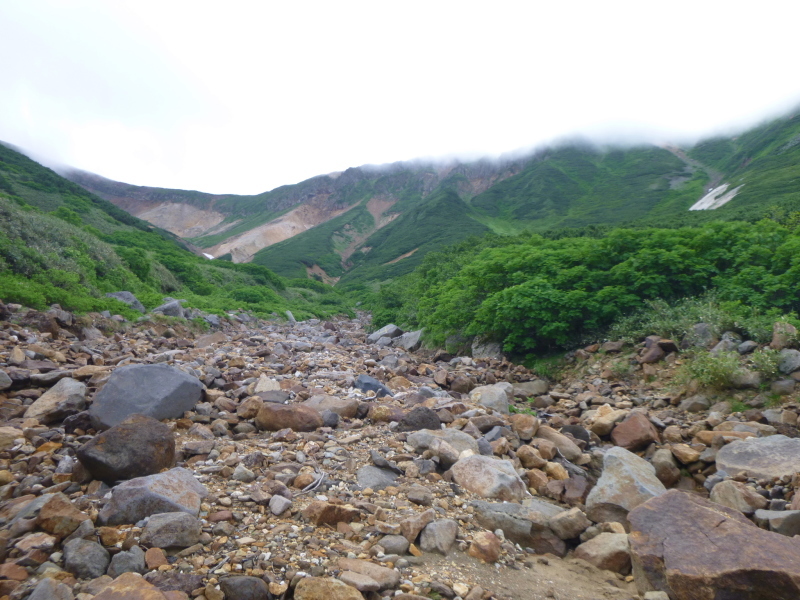 d0170615_13265381.jpg