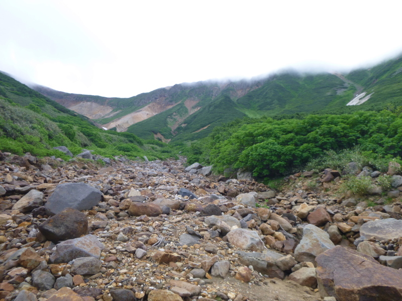 花の百名山　富良野岳 (1,912.1M)  　山頂を目指す　NO 1_d0170615_13265381.jpg