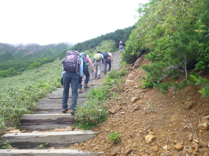 花の百名山　富良野岳 (1,912.1M)  　山頂を目指す　NO 1_d0170615_13271947.jpg