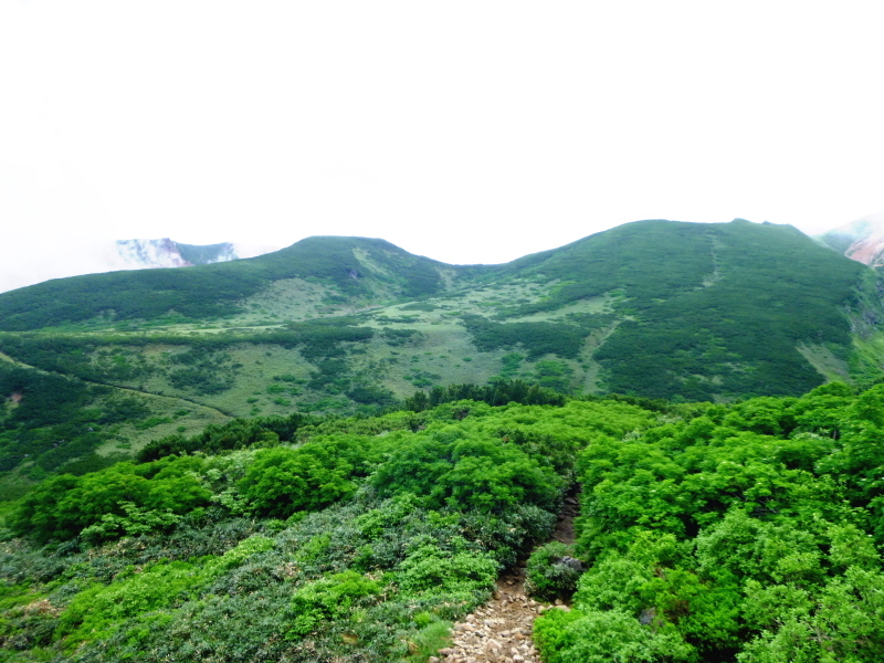 花の百名山　富良野岳 (1,912.1M)  　山頂を目指す　NO 1_d0170615_13282476.jpg