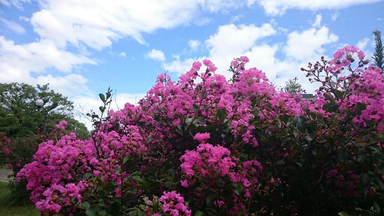 e0350415_23410187.jpg