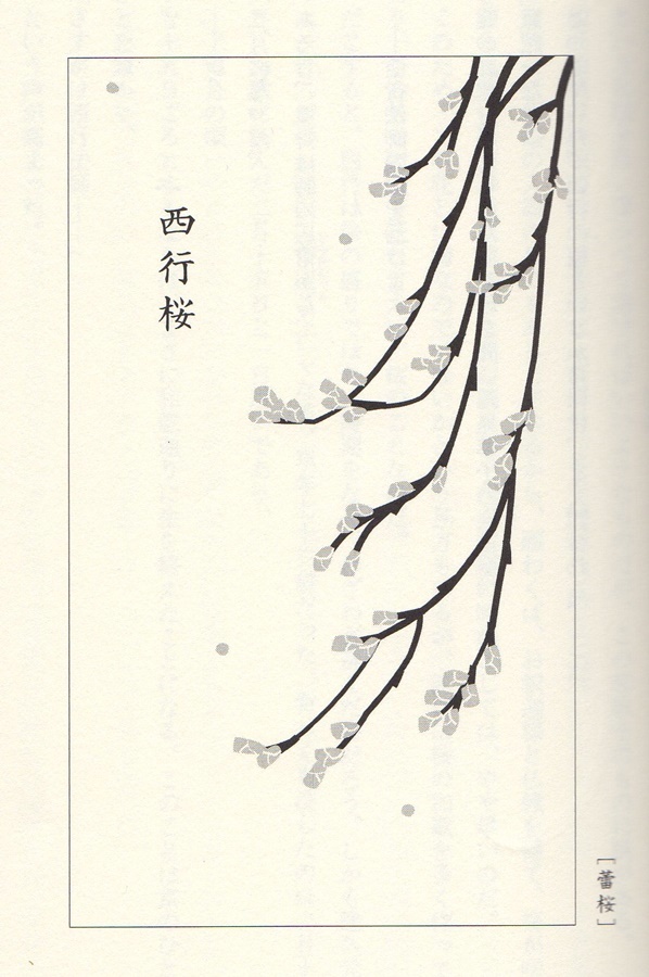 葉室　麟著「嵯峨野花譜」を読む_d0037233_08515460.jpg