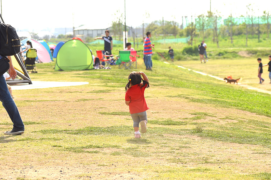 Nikon D5500 + 55-200mm f/4-5.6 VRII - 休日フォト_d0372533_21305487.jpg