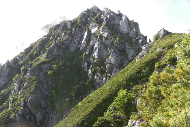 e0371039_1436252.gif