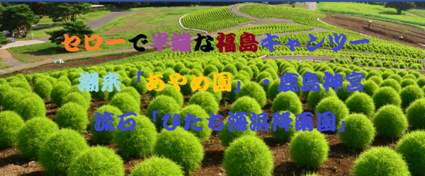 b0003445_13521428.png
