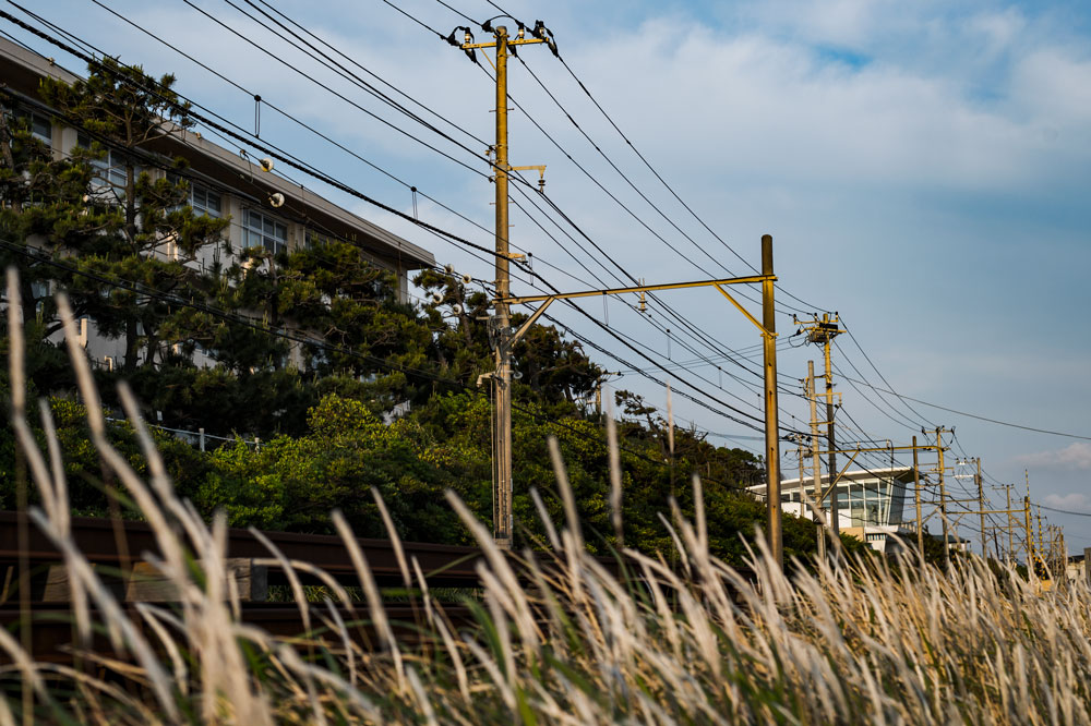 鎌倉紀行＞＞江ノ電のある風景_c0108673_21492976.jpg