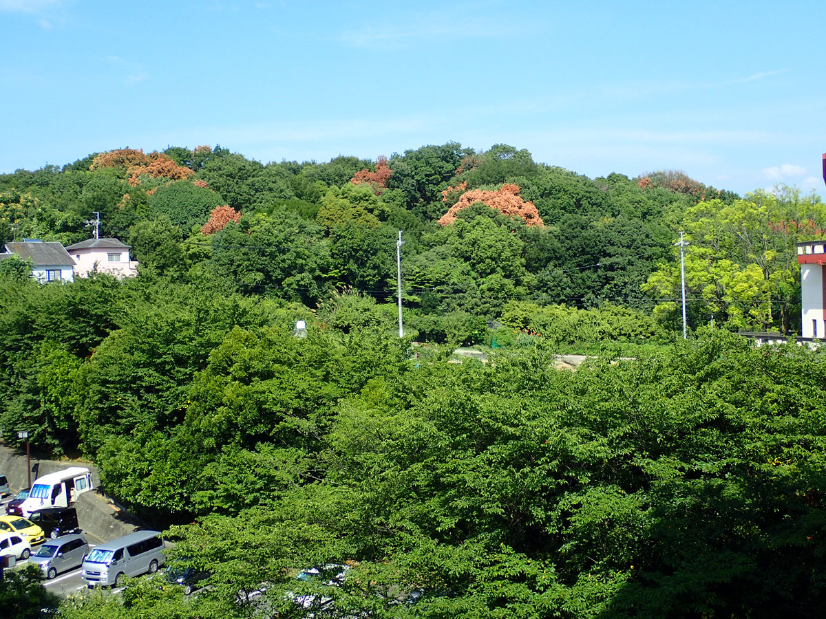 d0283373_17534445.jpg