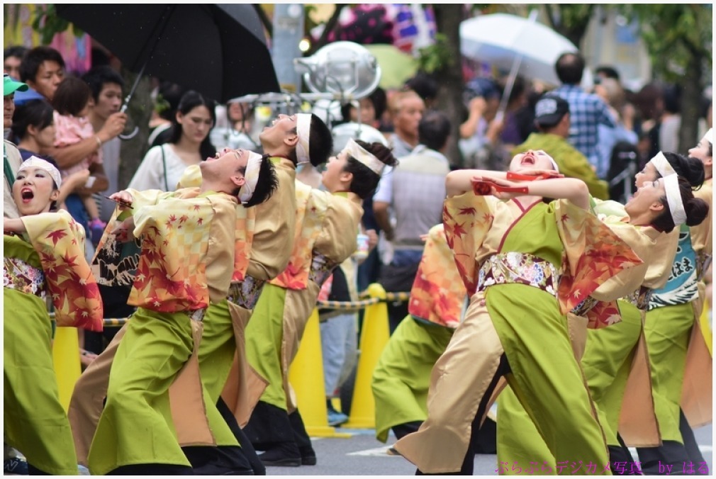 浦和よさこい　2017　（７）祭・WAIWAIよこはま_b0104774_21414830.jpg