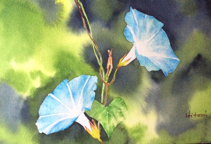 夏の花 朝顔 その2 ポッと出っスけど杉山ひとみ 水彩画ブログ
