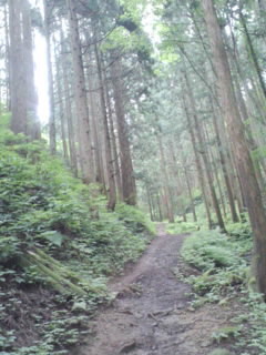 d0177286_11125890.jpeg