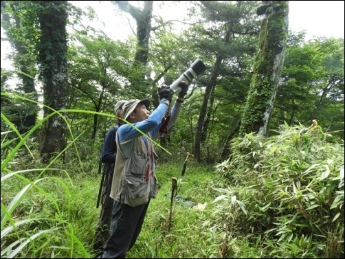 今季３回目の白鳥山へ_f0357487_16251781.jpg