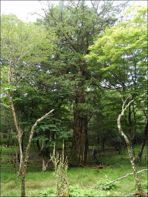 今季３回目の白鳥山へ_f0357487_20224038.jpg