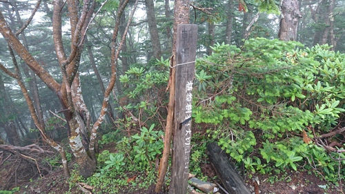 e0015490_19177.jpg