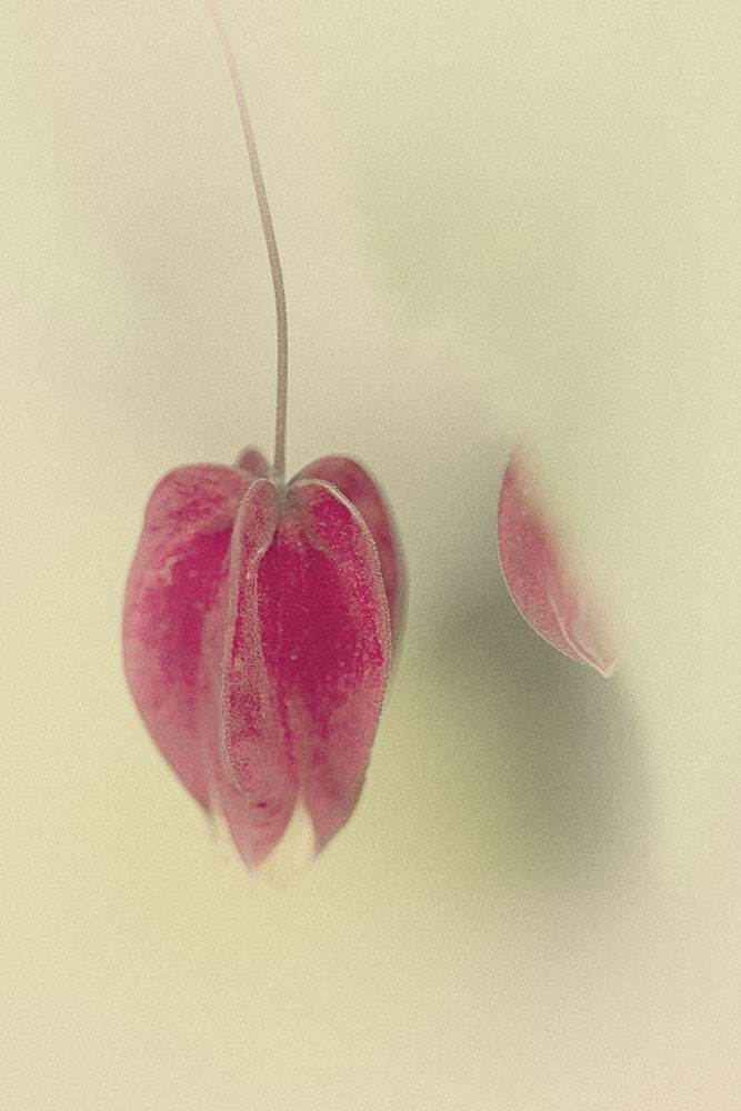 f0018492_20162770.jpg