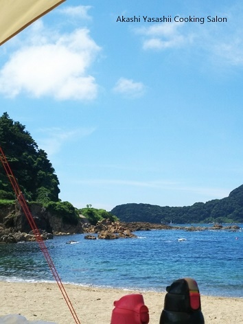 愛犬と一緒の夏休み_f0361692_19464502.jpg