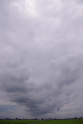 c0337494_17211039.jpg