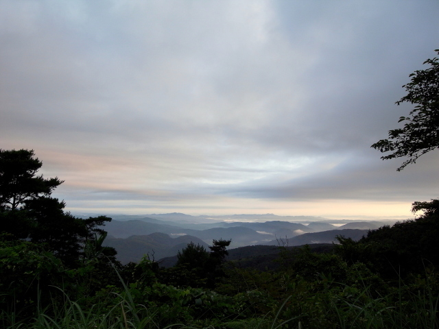 f0325295_08245259.jpg