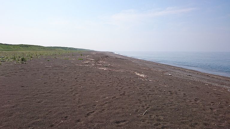 b0172805_13302780.jpg