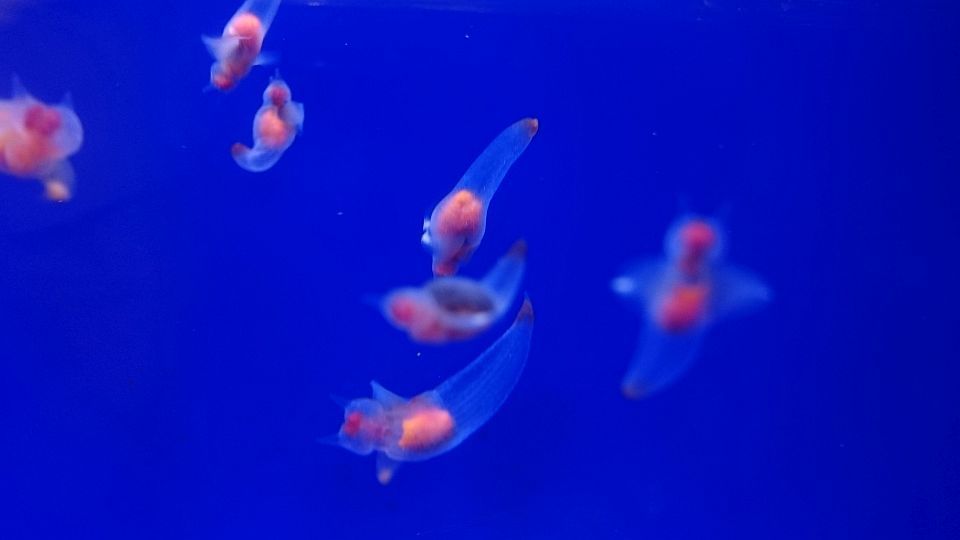 b0172805_14451448.jpg