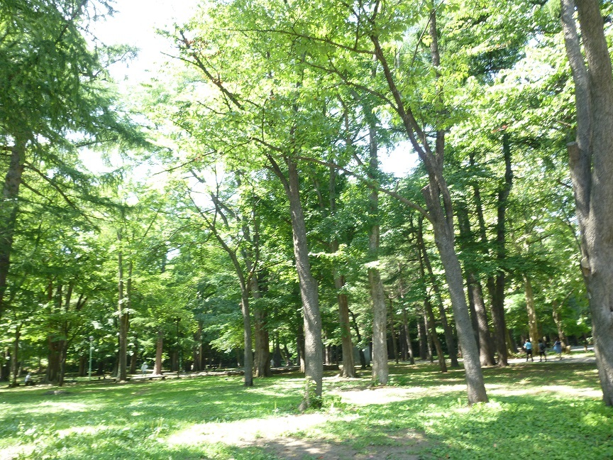 b0198109_21031341.jpg