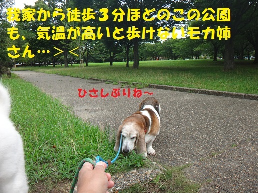 f0121712_15113984.jpg