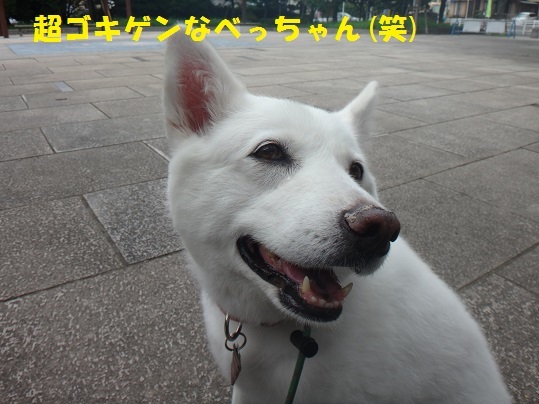 f0121712_15115305.jpg