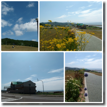 a0114514_17573043.png