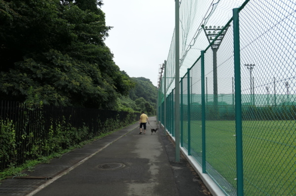 長浜公園（横浜市金沢区）_f0369014_11525254.jpg