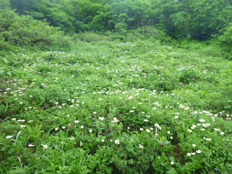 d0170615_16242862.jpg