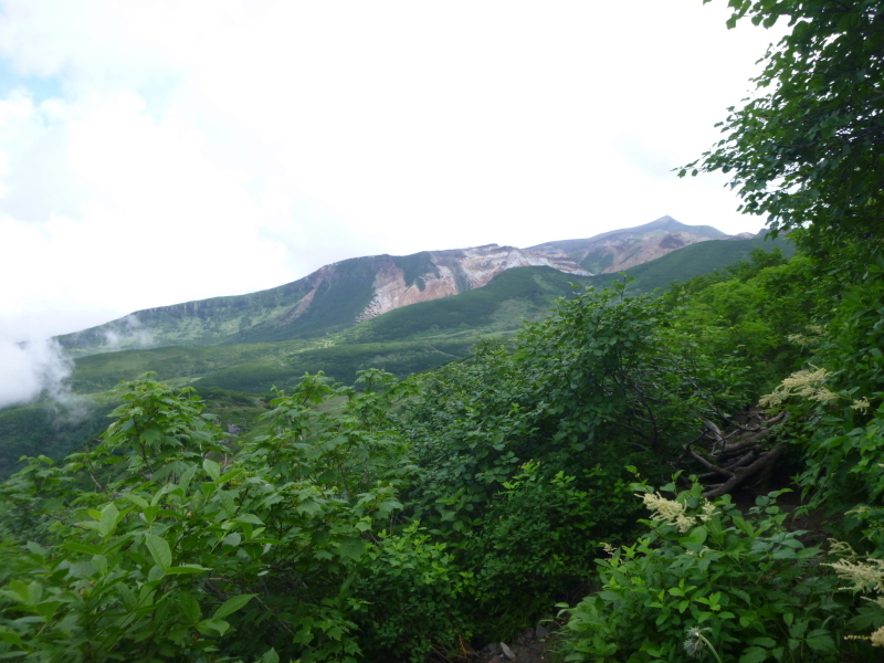 d0170615_16255262.jpg