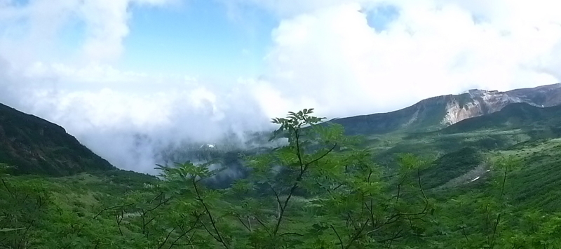 d0170615_16263347.jpg