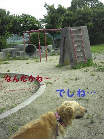 b0008217_10224728.jpg