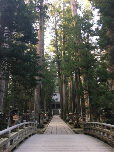 高野山で阿字観体験_a0197730_09332730.jpg