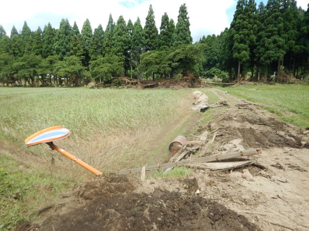 f0118332_01040077.jpg