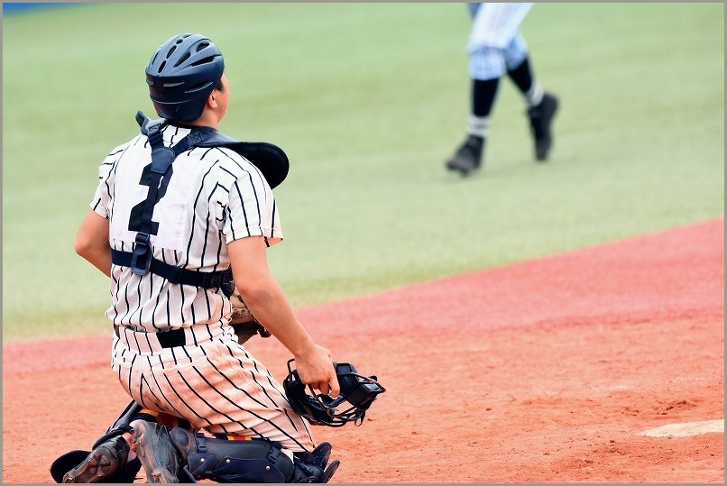 甲子園出場校 山梨県 東海大学付属甲府高校 野球部 公式戦