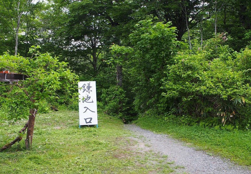 b0141240_23544564.jpg