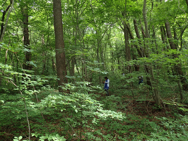 f0214649_04492145.jpg