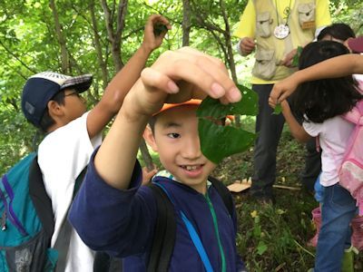 ふれあい森林教室　青山4丁目子供会篇_c0355655_14405494.jpg