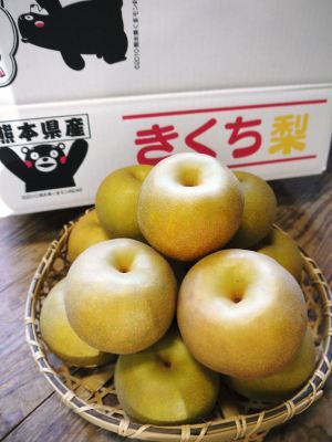 熊本梨 こだわりの樹上完熟梨『幸水』昨日より出荷スタートしました!初収穫の様子を現地取材!_a0254656_17174687.jpg