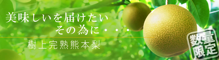 熊本梨 こだわりの樹上完熟梨『幸水』昨日より出荷スタートしました!初収穫の様子を現地取材!_a0254656_17525788.jpg