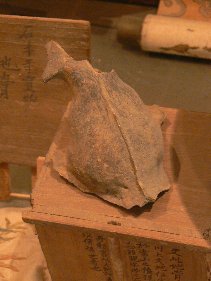 2006/5/1-4GW:高知松山怪の爪あと〜赤岡絵金蔵、五台山、仁井田(田中貢太郎)、桂浜、室戸岬人面岩、野根山街道笑い栂、道後石手寺、松山太山寺地獄絵、大山祇神社、尾道_b0116271_12441887.jpg