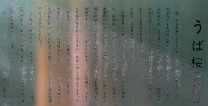 2006/5/1-4GW:高知松山怪の爪あと〜赤岡絵金蔵、五台山、仁井田(田中貢太郎)、桂浜、室戸岬人面岩、野根山街道笑い栂、道後石手寺、松山太山寺地獄絵、大山祇神社、尾道_b0116271_13003388.jpg