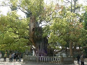 2006/5/1-4GW:高知松山怪の爪あと〜赤岡絵金蔵、五台山、仁井田(田中貢太郎)、桂浜、室戸岬人面岩、野根山街道笑い栂、道後石手寺、松山太山寺地獄絵、大山祇神社、尾道_b0116271_13031781.jpg