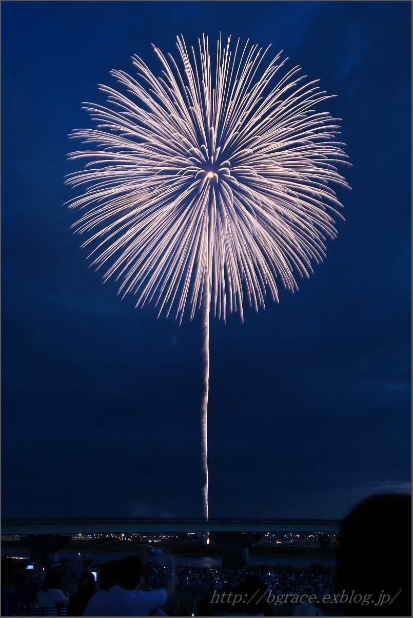 長岡花火2017 【白菊】10号_b0191074_22571559.jpg