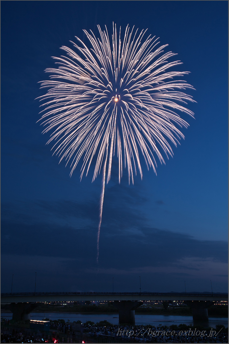 長岡花火17 白菊 10号 遥かなる月光の旅