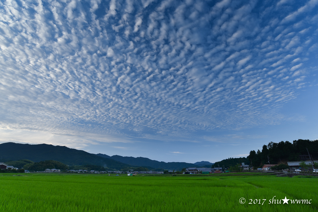 a0142976_17352575.jpg